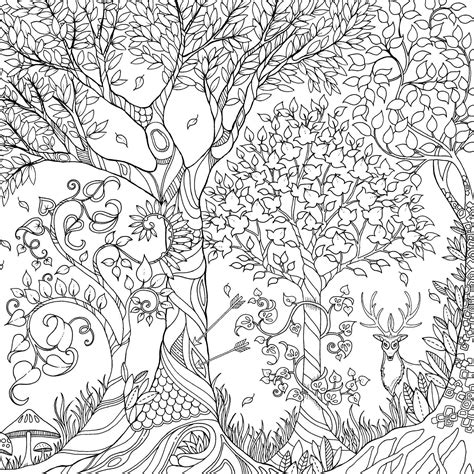 Discover the Hidden World of Magical Forests through Coloring